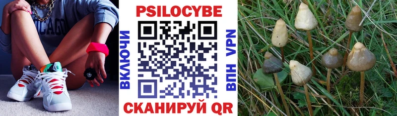 Псилоцибиновые грибы Magic Shrooms  даркнет официальный сайт  Нальчик 